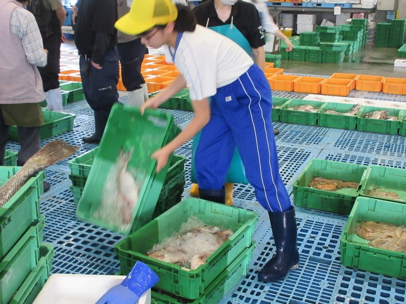 職場体験の様子