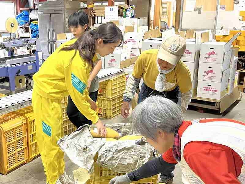 職場体験の様子